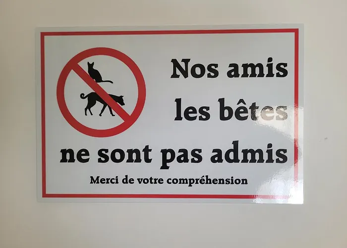 Loft Porte Sud 140 M2 Appartement